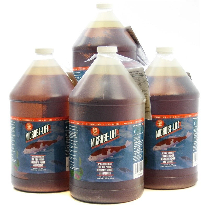 ✅VI SINH MÙA HÈ-MICROBE-LIFT PL BENEFICIAL BACTERIA FOR PONDS 1 GAL